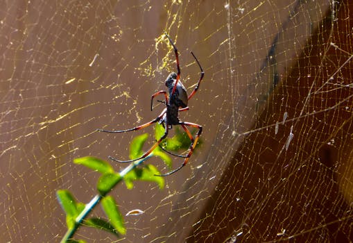 Park Yong Woo Bikin Kacau! Suasana Berantakan Bagi Park Ju Hyun Dan Kang Hoon di Teaser Terbaru "Hunter with a Scalpel" - park 1