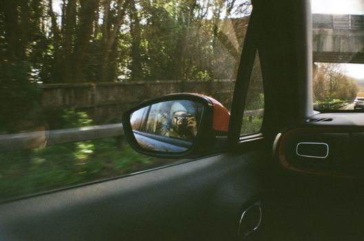 Photographer's reflection in a car mirror while traveling on a forest road.