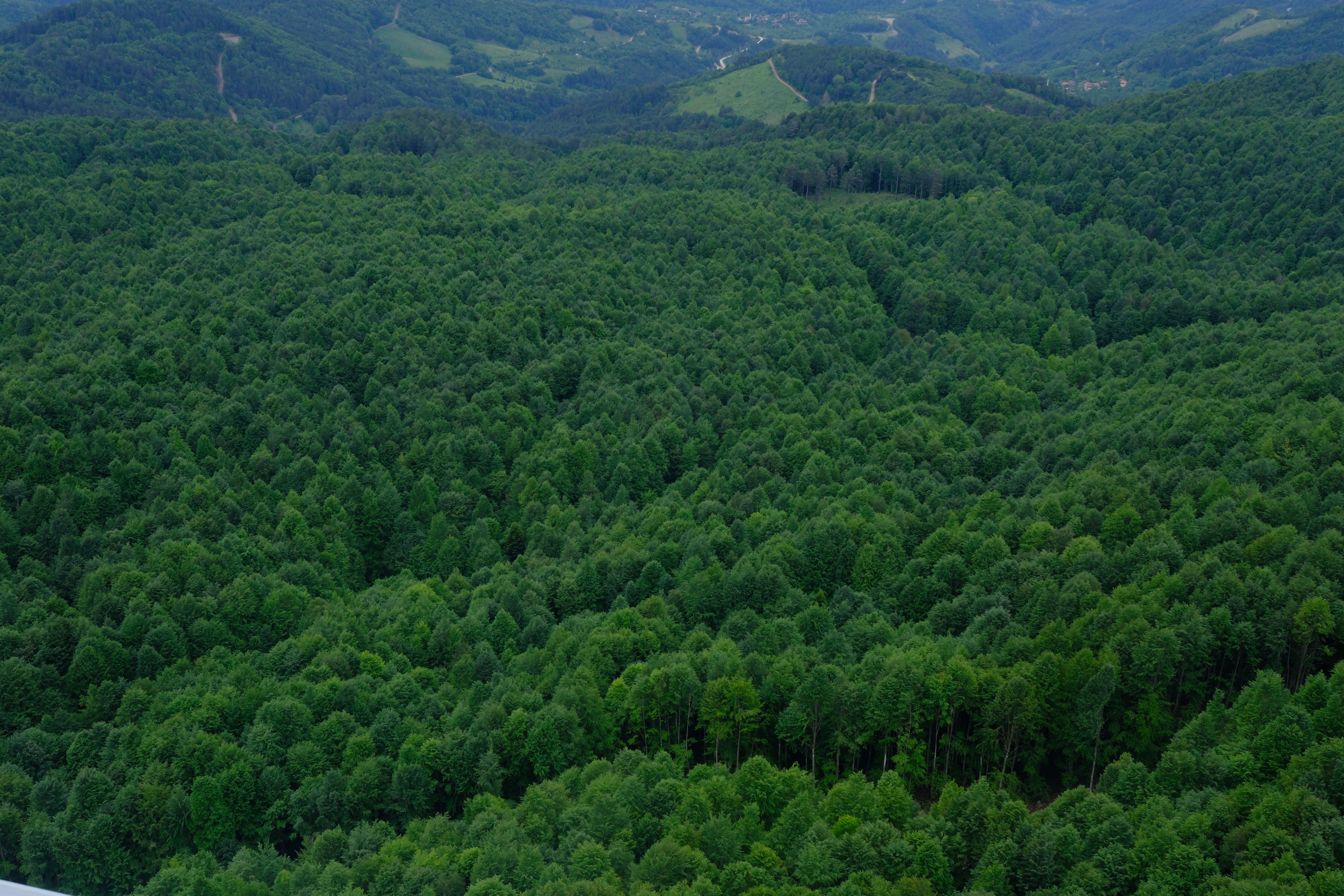 Recursos naturales y suelos de proteccion