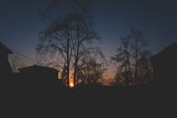 日落时分的布拉格，树木与建筑物的轮廓在宁静的夜空下显得格外美丽