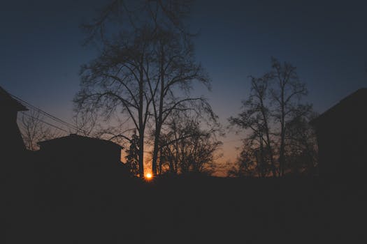 日落时分的布拉格，树木与建筑物的轮廓在宁静的夜空下显得格外美丽