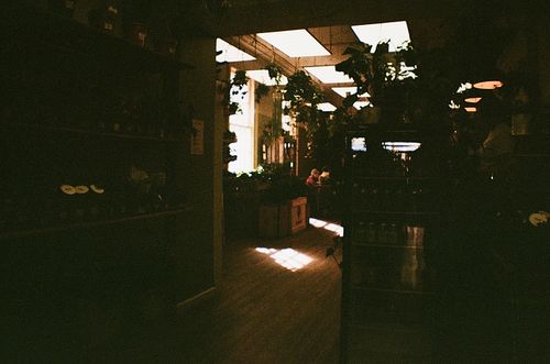 Free Warm indoor cafe scene with plants and natural light creating a calming atmosphere. Stock Photo