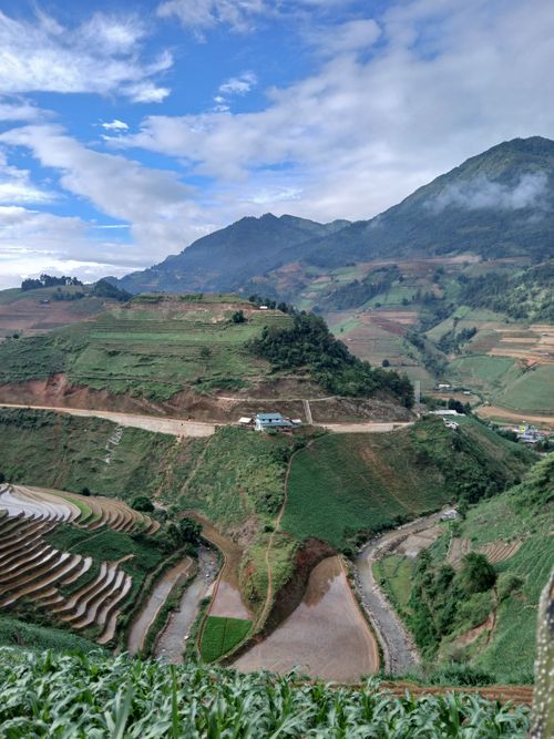 Free Breathtaking view of terraced rice fields with mountains under a blue sky. Stock Photo