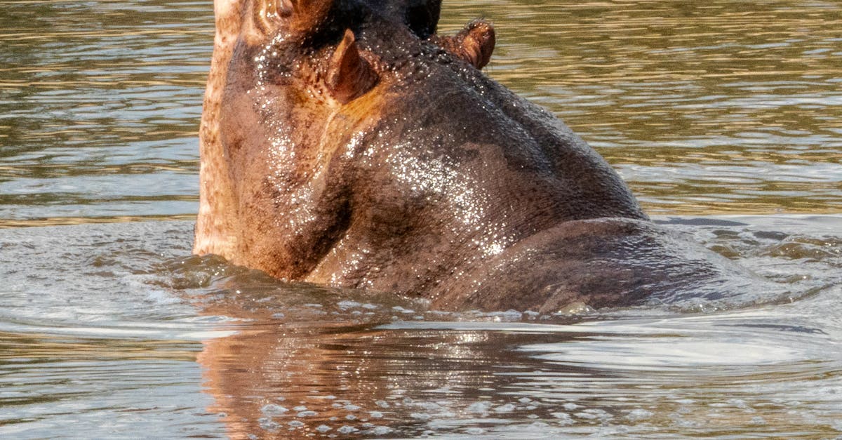 宜蘭員山 生活在流水旁的詩意散村