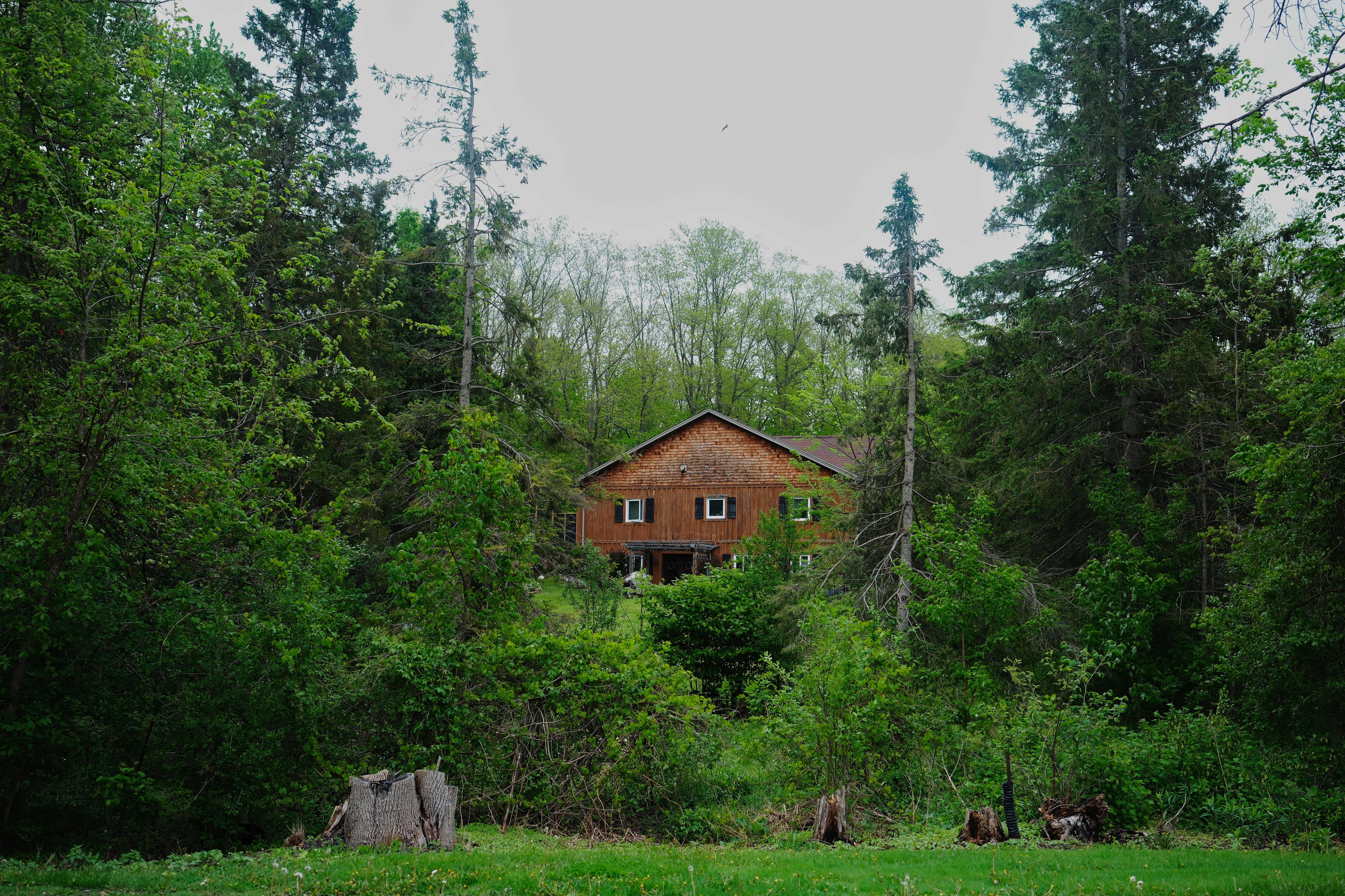 Airbnb lists Westfield as a 'hidden gem' for budget-friendly summer travel — Photo by Surja Raj on Pexels