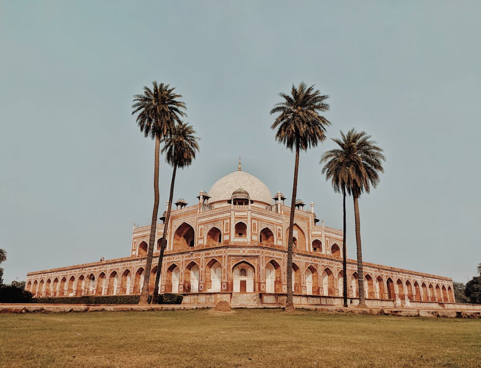 Palm Trees Near Mosque