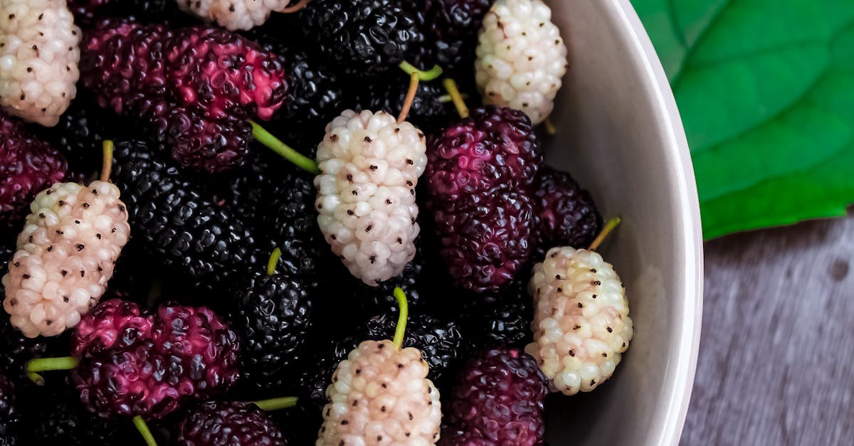 How to freeze blueberries and blackberries