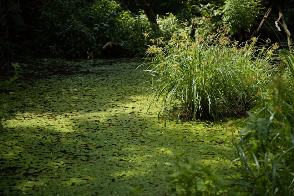 Cover Image for Strategizing E-Commerce Growth in Southeast Asia