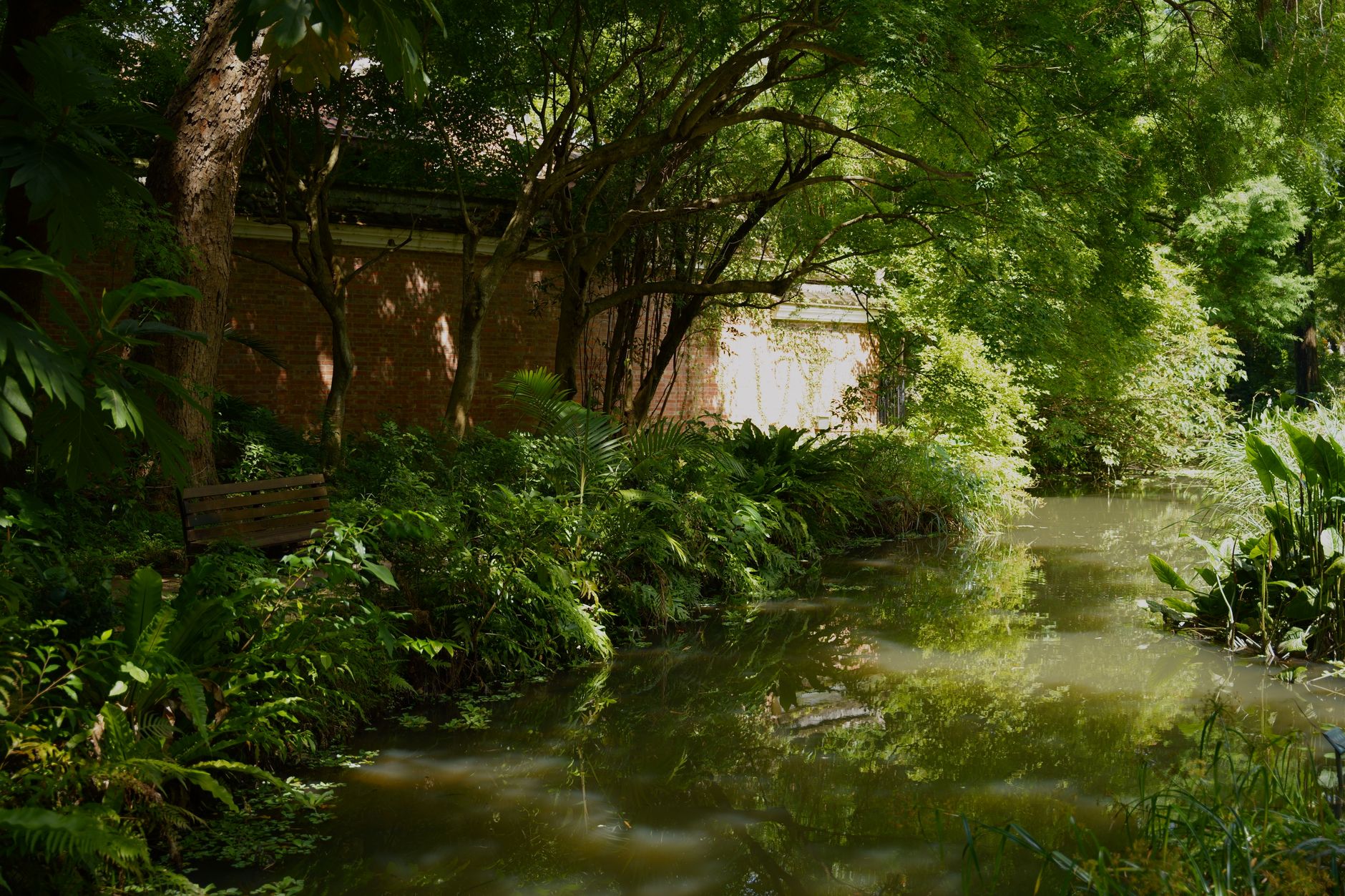 新北獨自散步療癒地:森林步道、河岸海濱與公園靜謐路線 Serene green landscape by a calm pond in a Taipei park