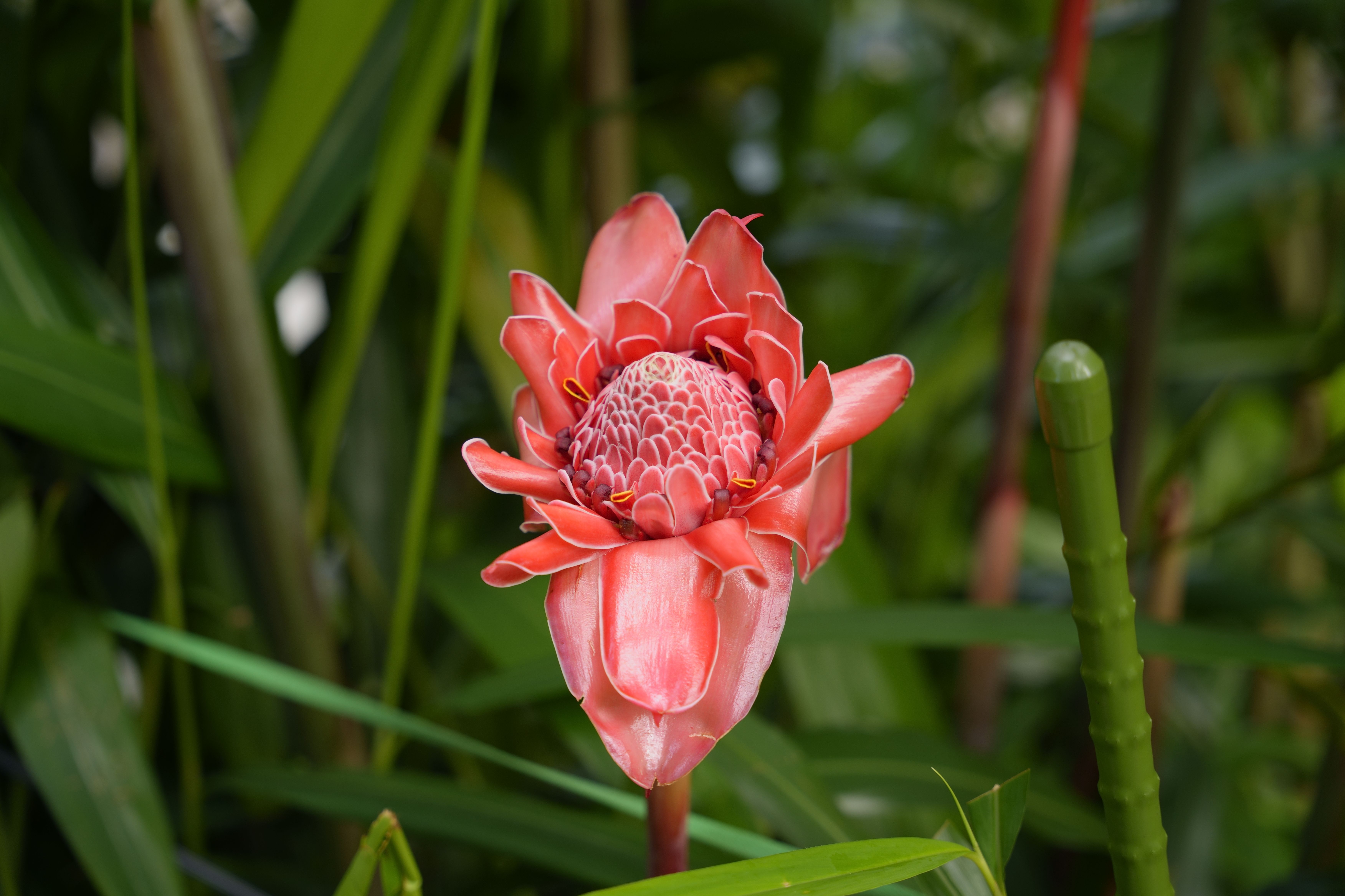 Psmg+Taiwan Photos, Download The BEST Free Psmg+Taiwan Stock Photos ...
