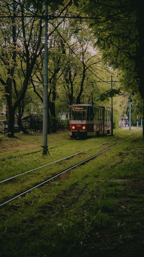 주의사항