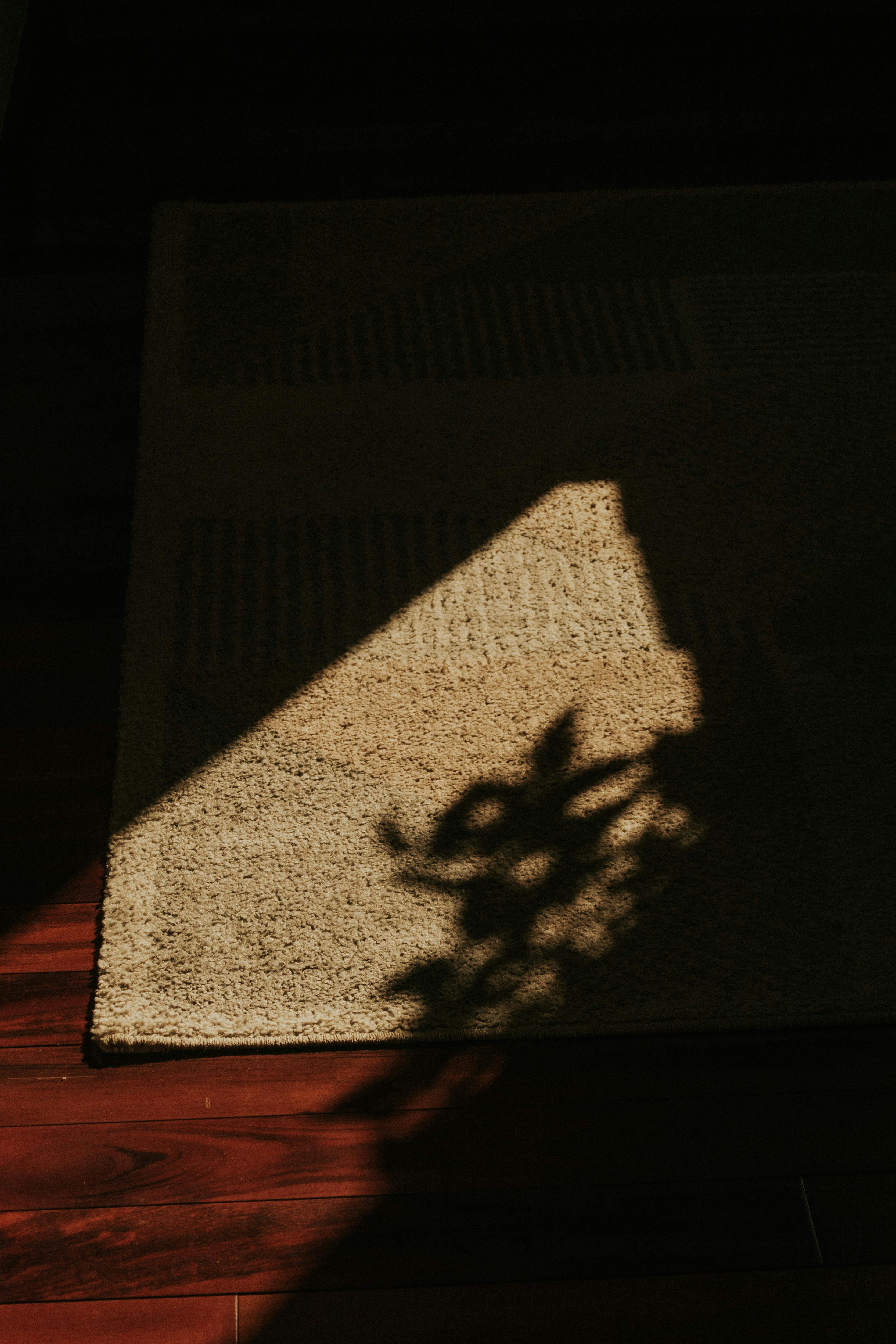 Gratis Un juego de luces y sombras con el sol proyectando la silueta de una planta sobre una alfombra en el interior. Foto de stock