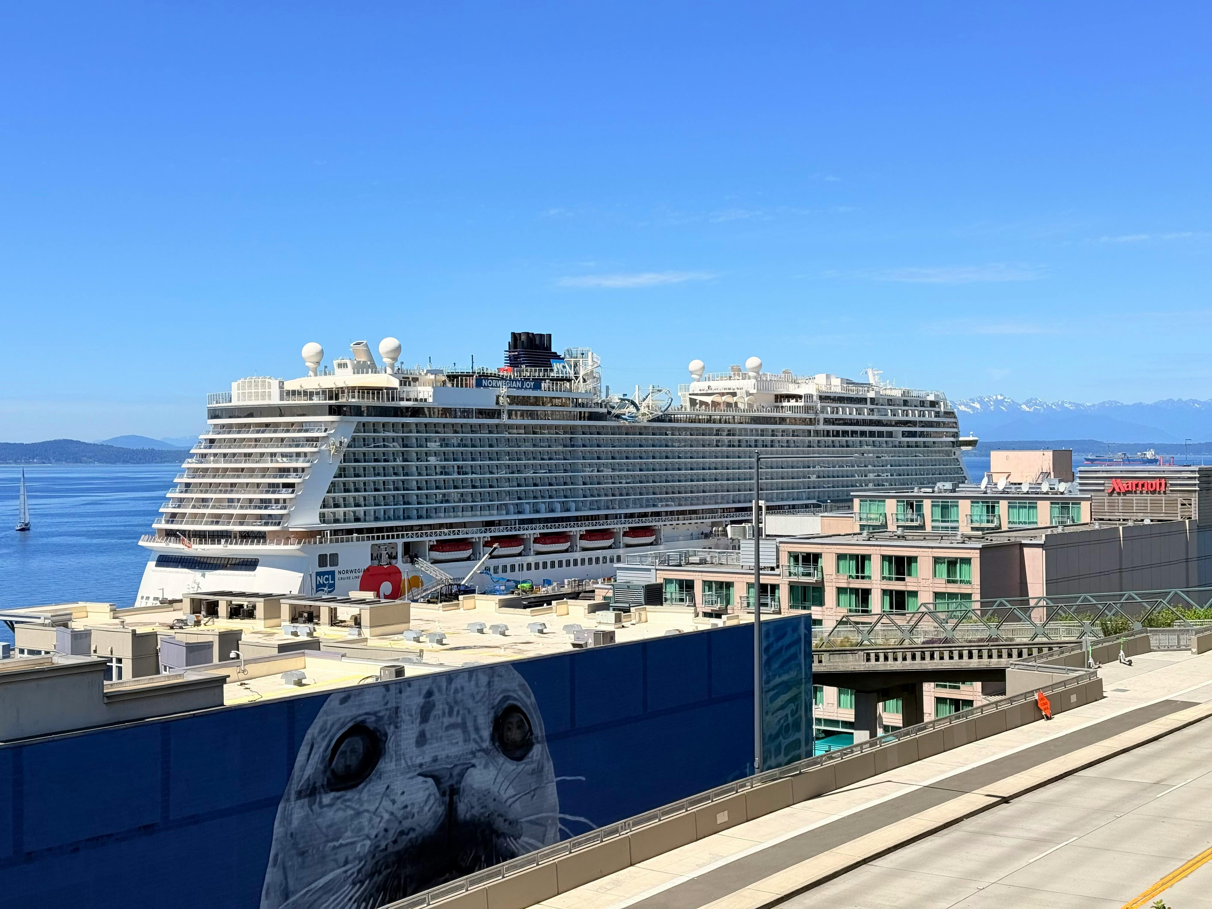 Canadian from hantavirus-hit cruise ship tests positive