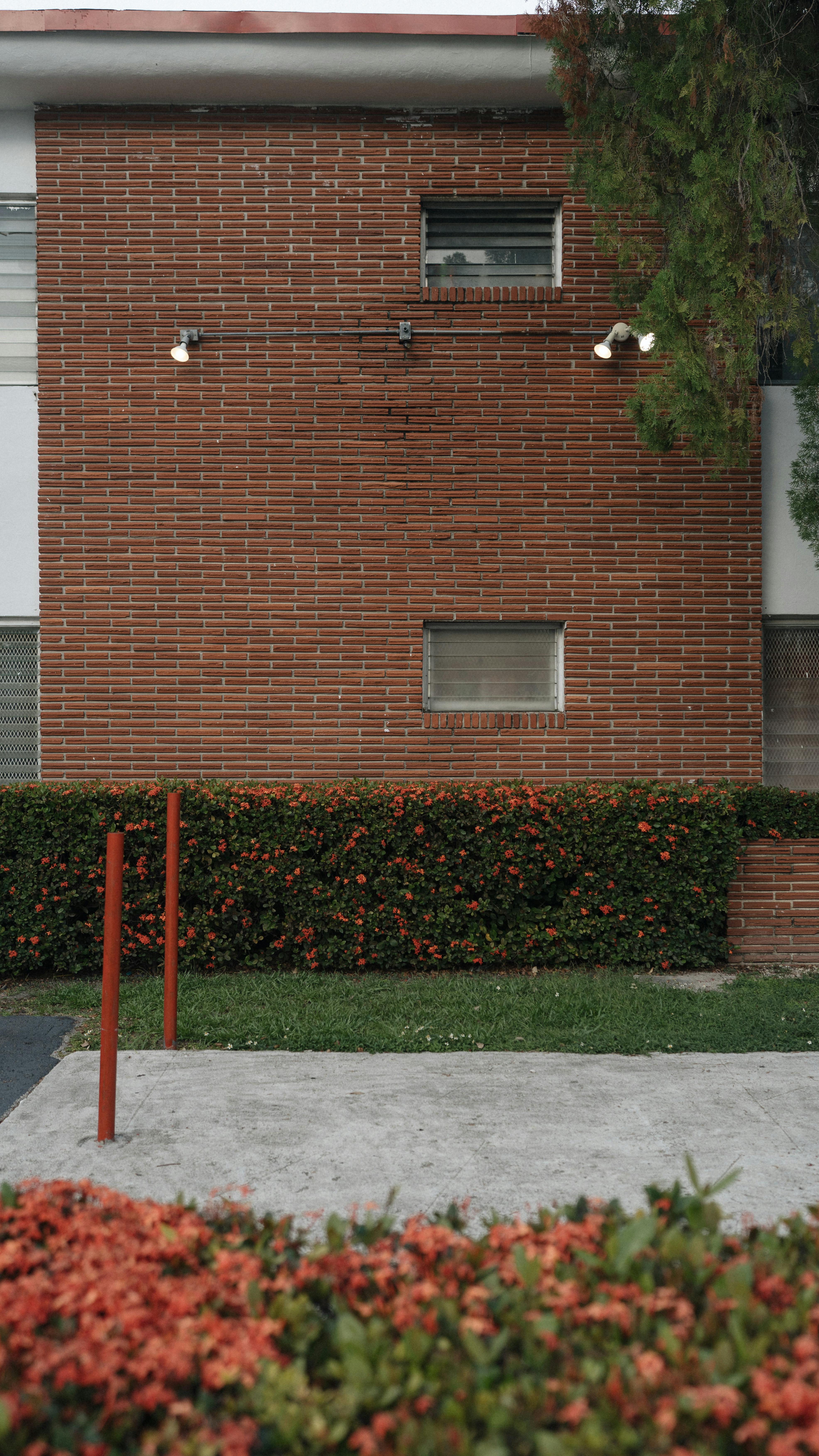 Gratis Fotos de stock gratuitas de @al aire libre, ajuste del parque, ambiente sereno Foto de stock