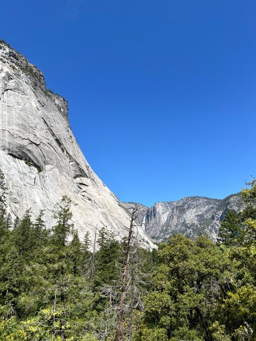Free Stunning view of granite cliffs and lush forest in Yosemite National Park under a clear blue sky. Stock Photo