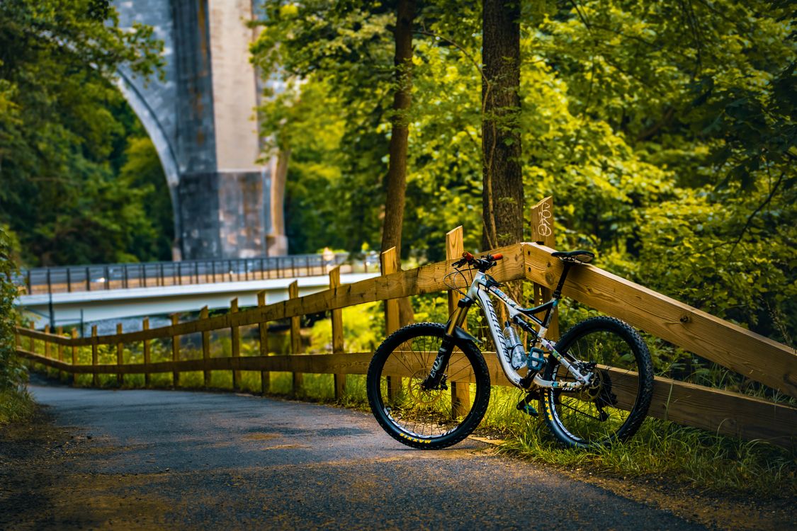 Mountain Bike Parked on Scenic Forest Path · Free Stock Photo