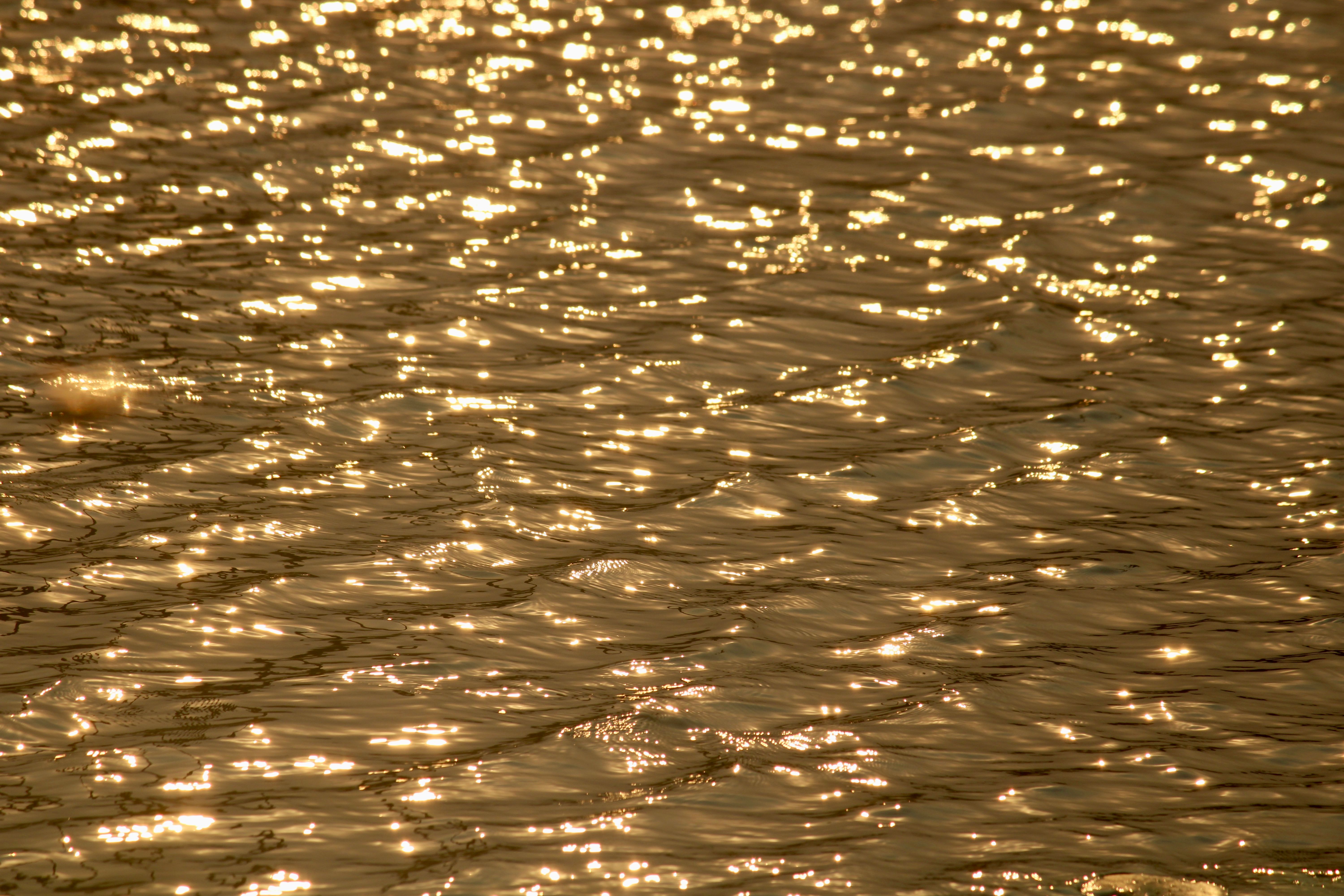 Shimmering golden reflections create a calming effect on rippling water.