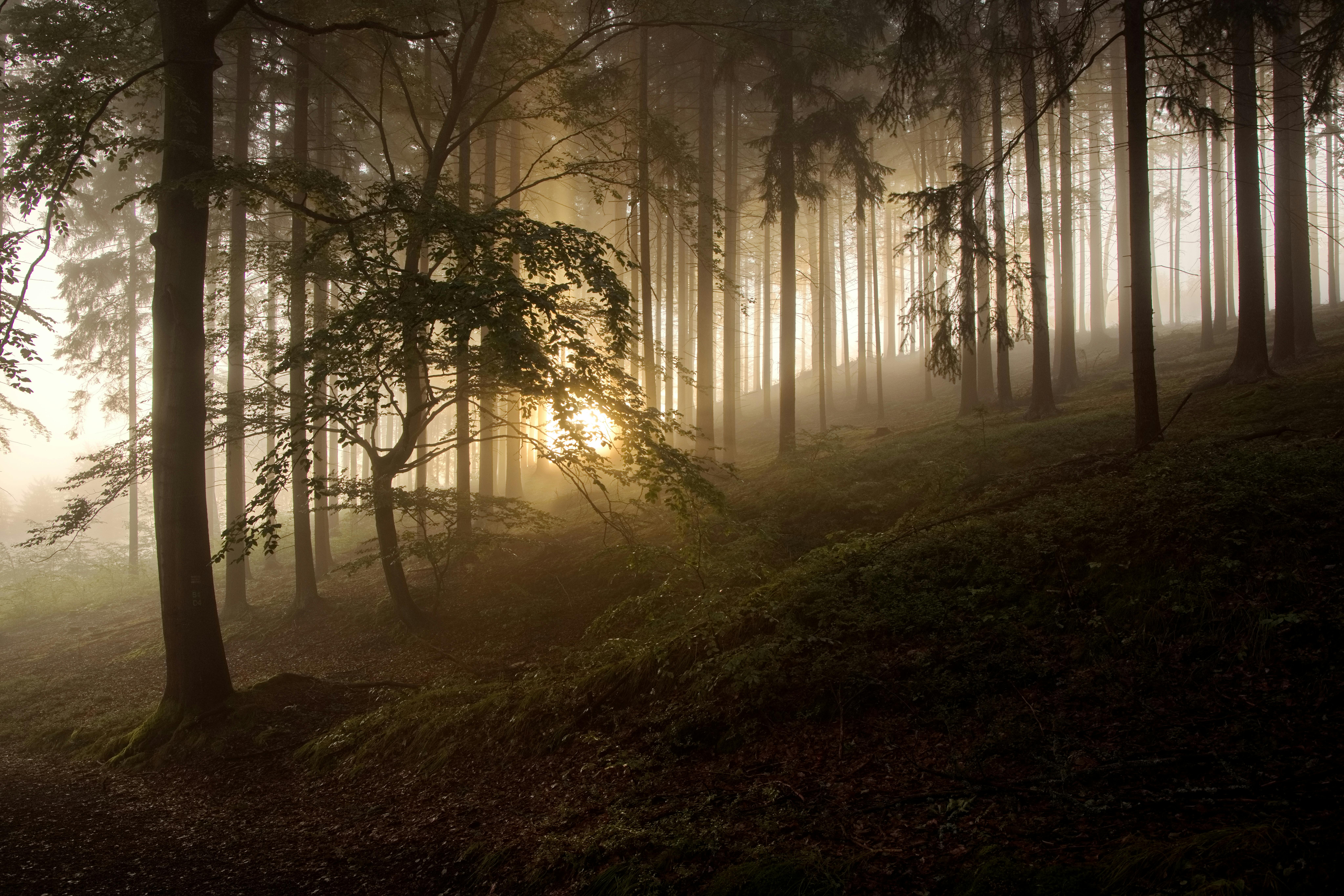 Timeless Secrets of the Universe: Unlocking Cosmic Mysteries