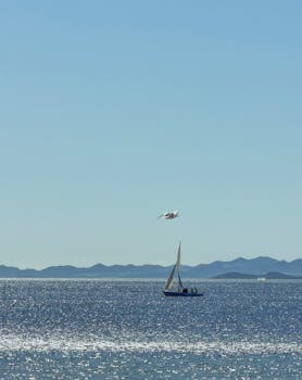 A peaceful scene of a sailboat and seagull on the sparkling waters of Santiago de la Ribera, Spain.