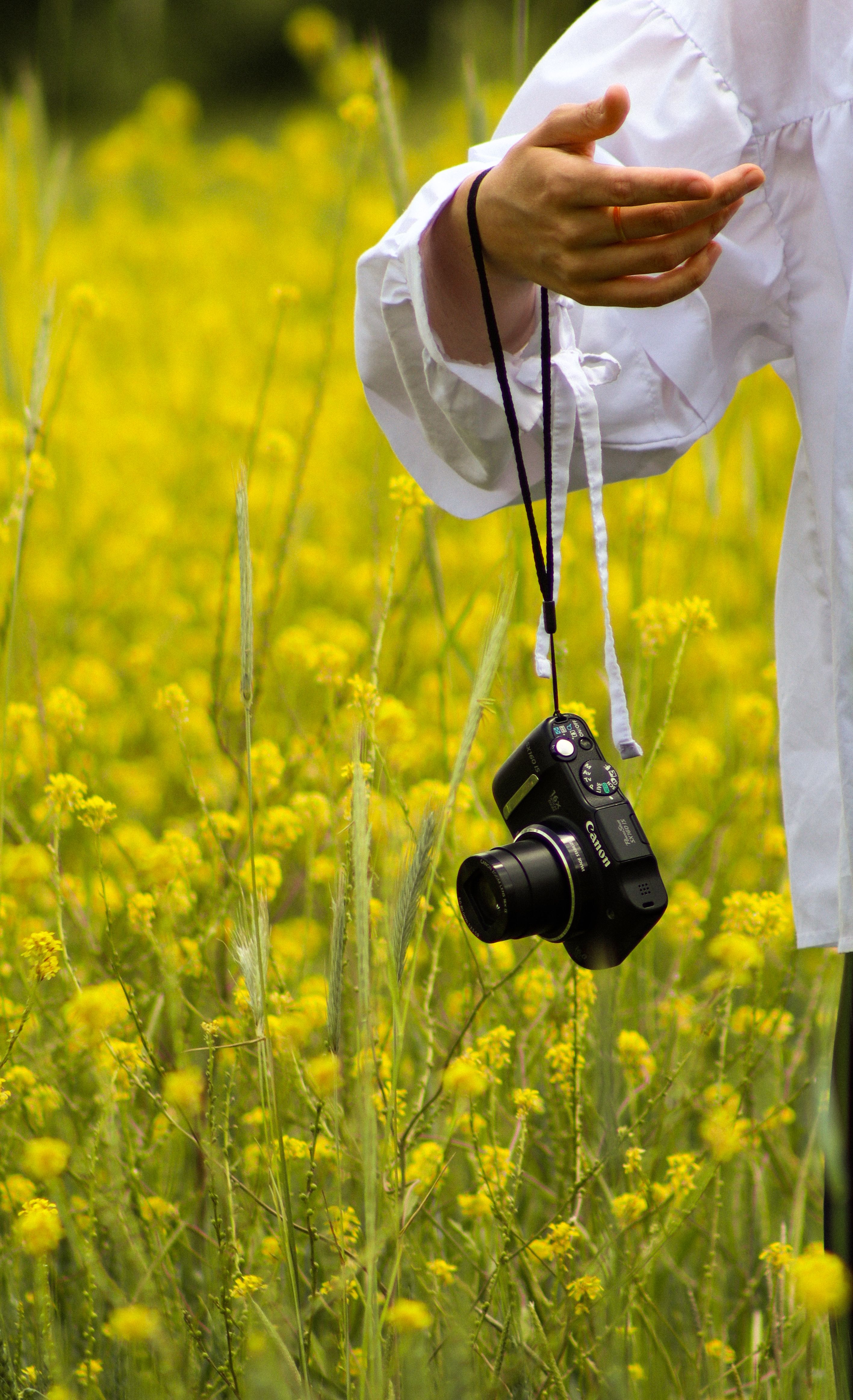 A close-up shot of a person with a camera amidst vibrant yellow flowers outdoors.
