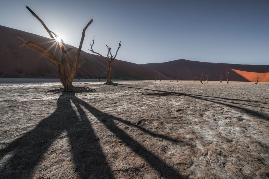 Sossusvlei - Dead Vlei au lever du soleil