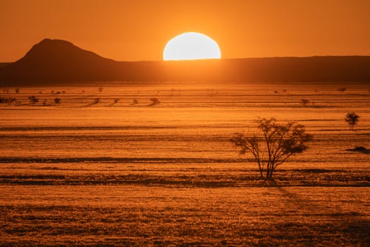 Stunning orange sunset over the Namibian savanna, highlighting the vast horizon.