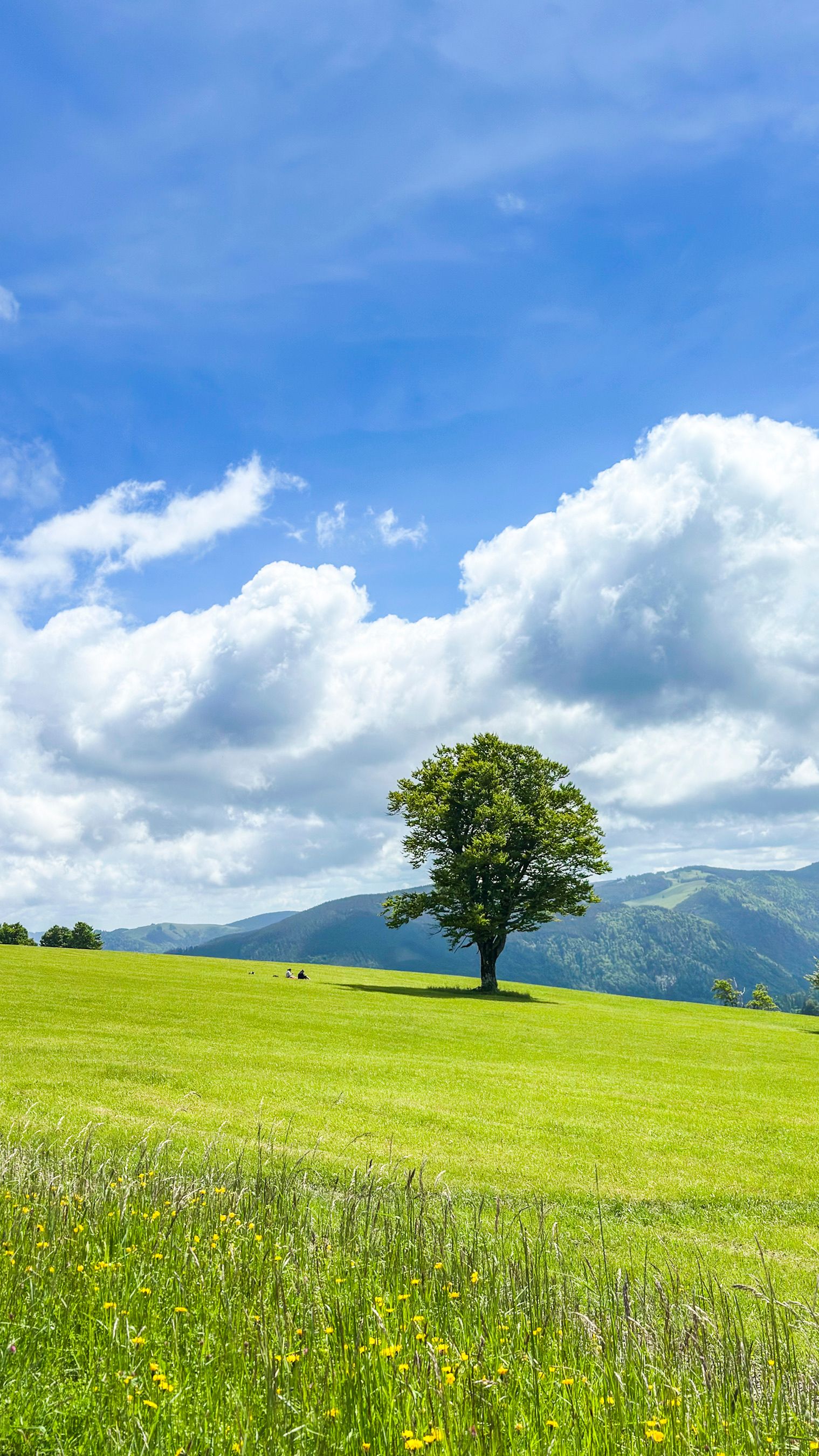 Fotomural Fotolia