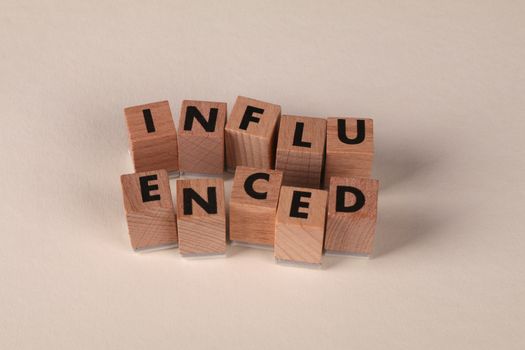 디마 인플루언서 성공 비결: 디지털 마케팅 전문가로 우뚝 서는 법