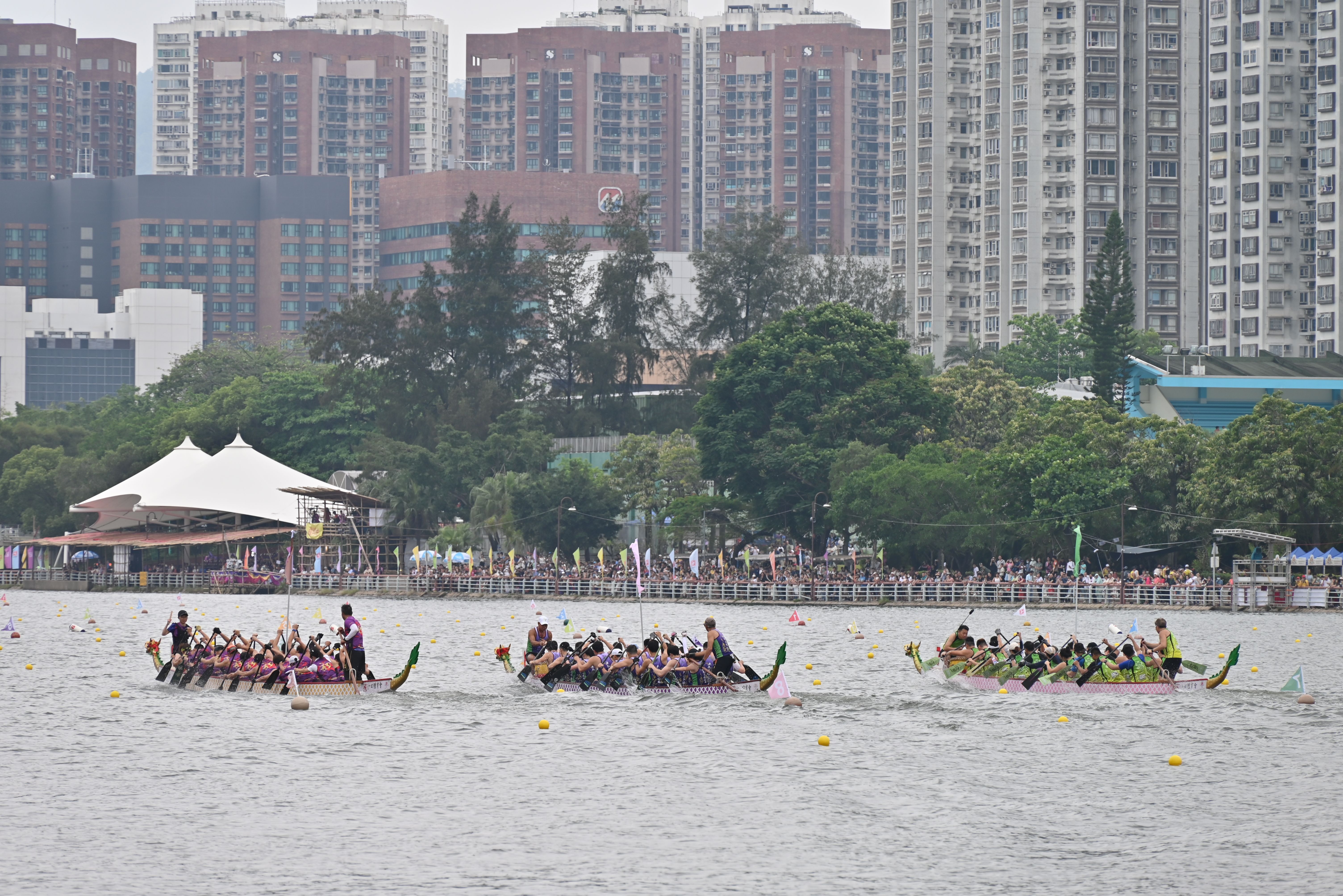 Dragon boat race with urban cityscape in the background, showcasing competitive teamwork.