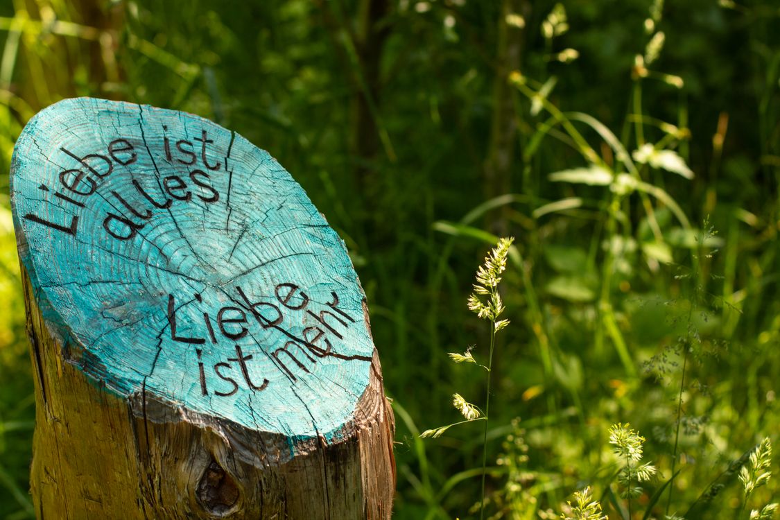 Tree Stump with Love Inscription in German Forest · Free Stock Photo