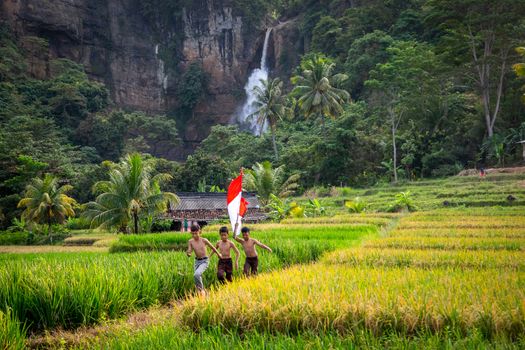 Three children carrying an Indonesian flag run through lush rice fields near Cimarinjung Waterfall in West Java, Indonesia.