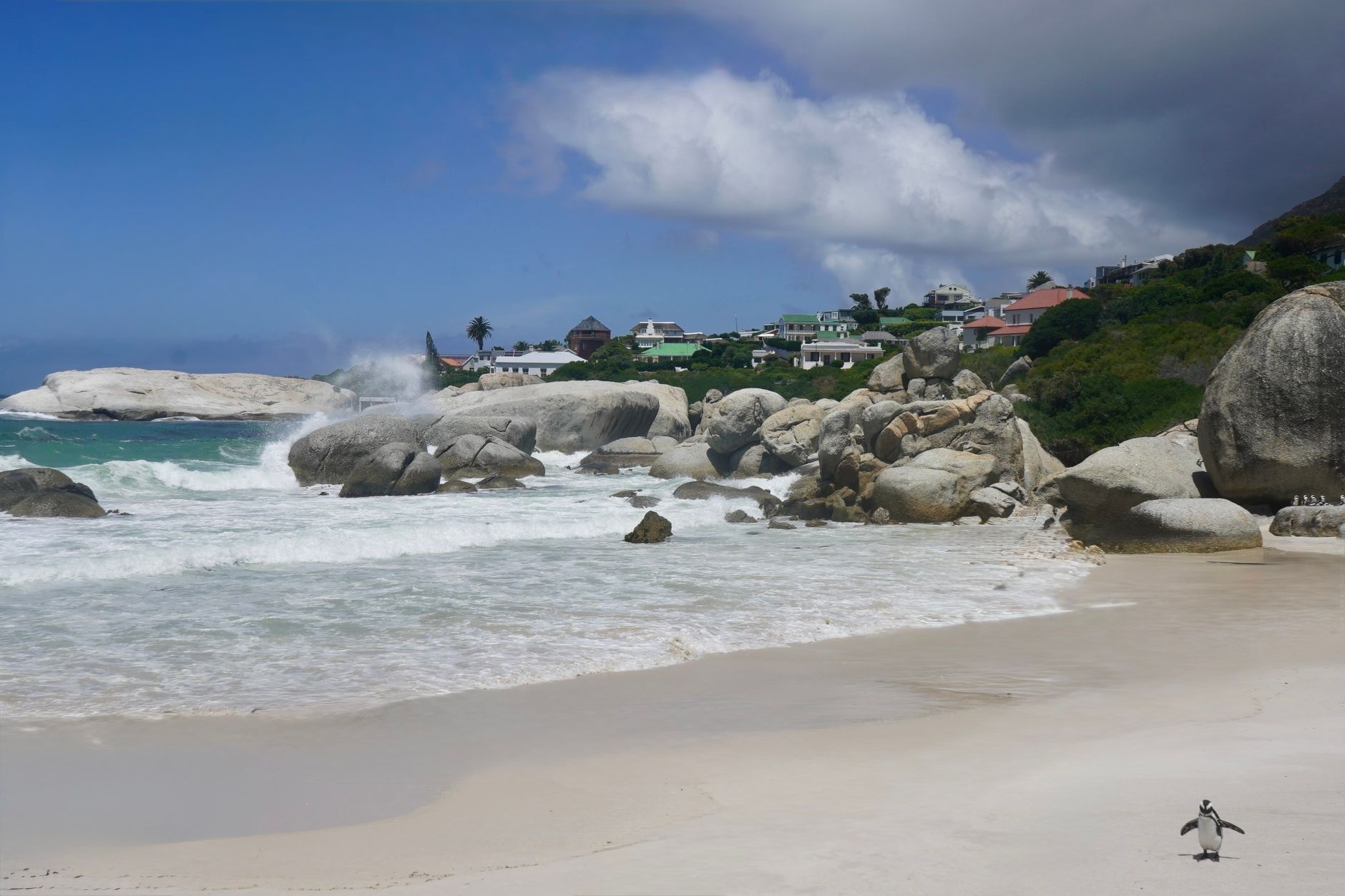 Beautiful coastal landscape at Boulders Beach with waves crashing on rocks and a penguin on the shore.