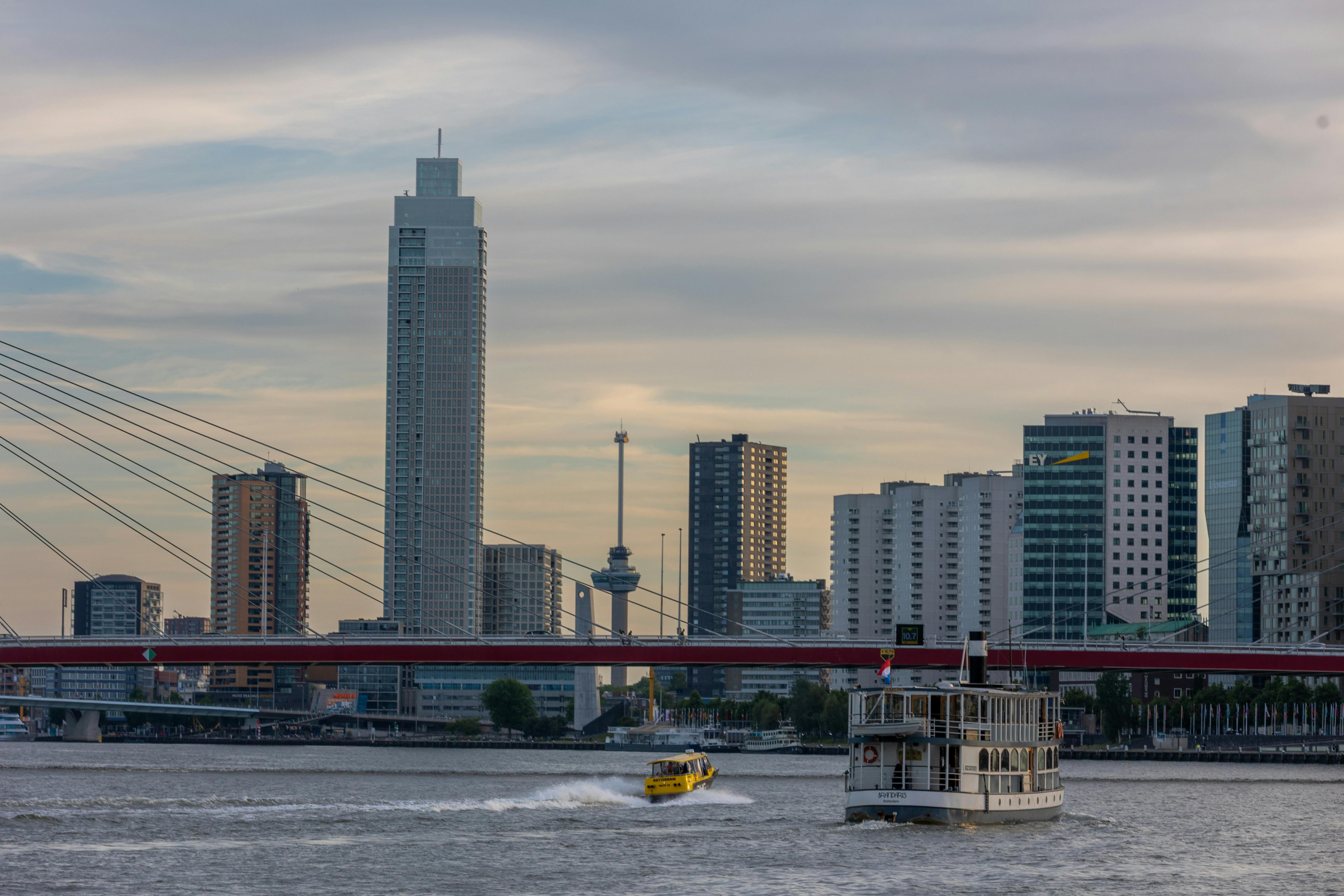 Holland America Cruise Decision Resource