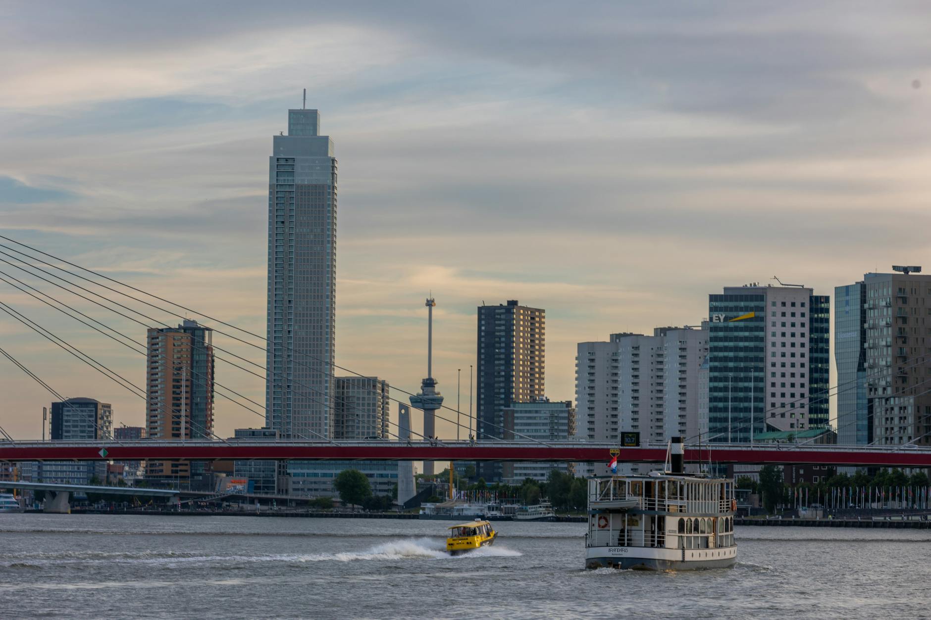 Holland America Cruise Decision Resource