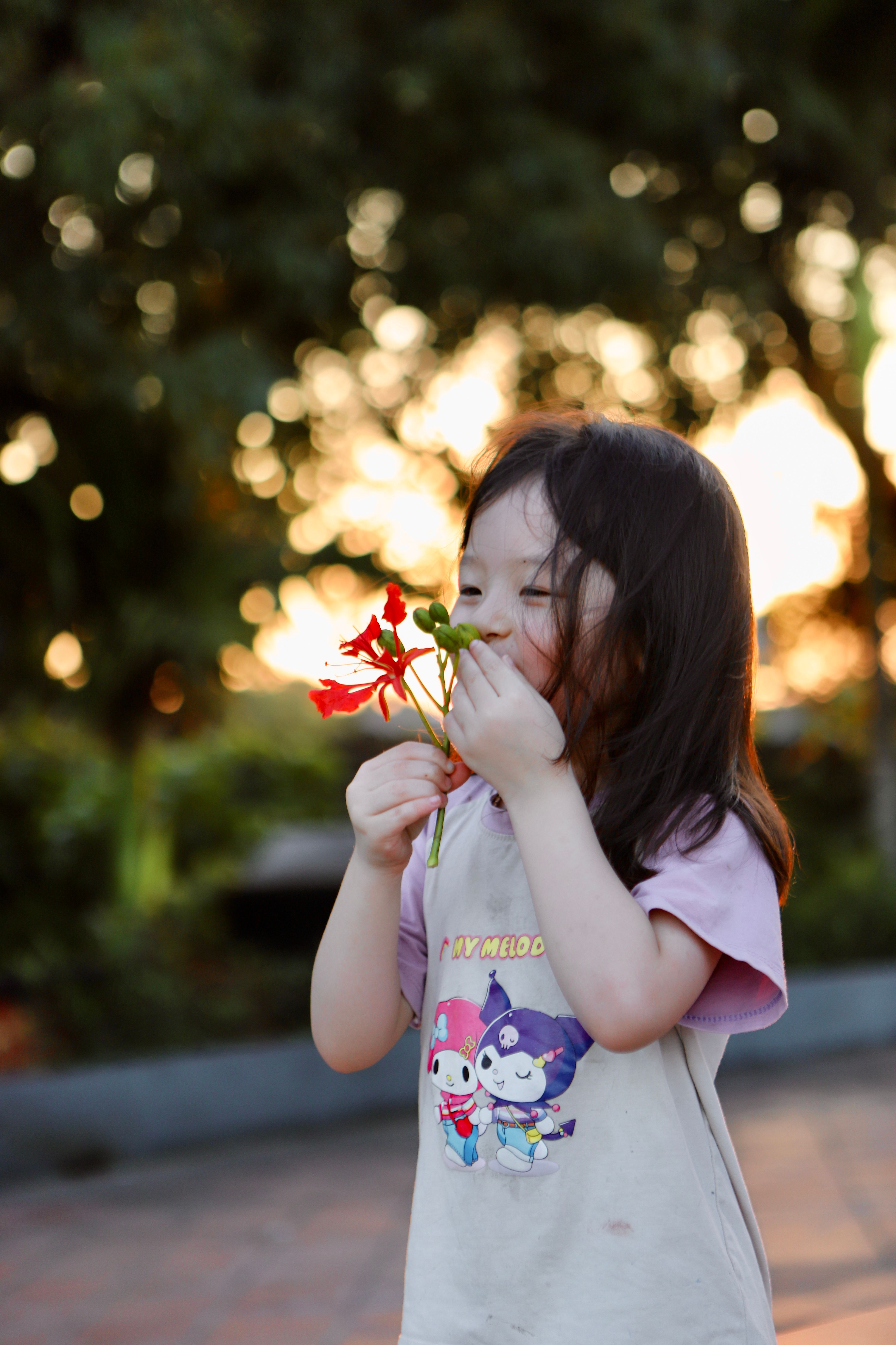 A young girl enjoying vibrant red flowers outdoors in Hai Duong, Vietnam at sunset.