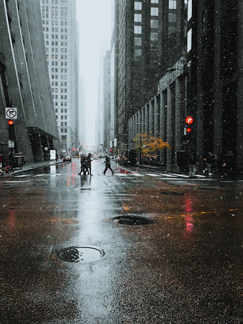 People Crossing Street  at Pedestrian Lane