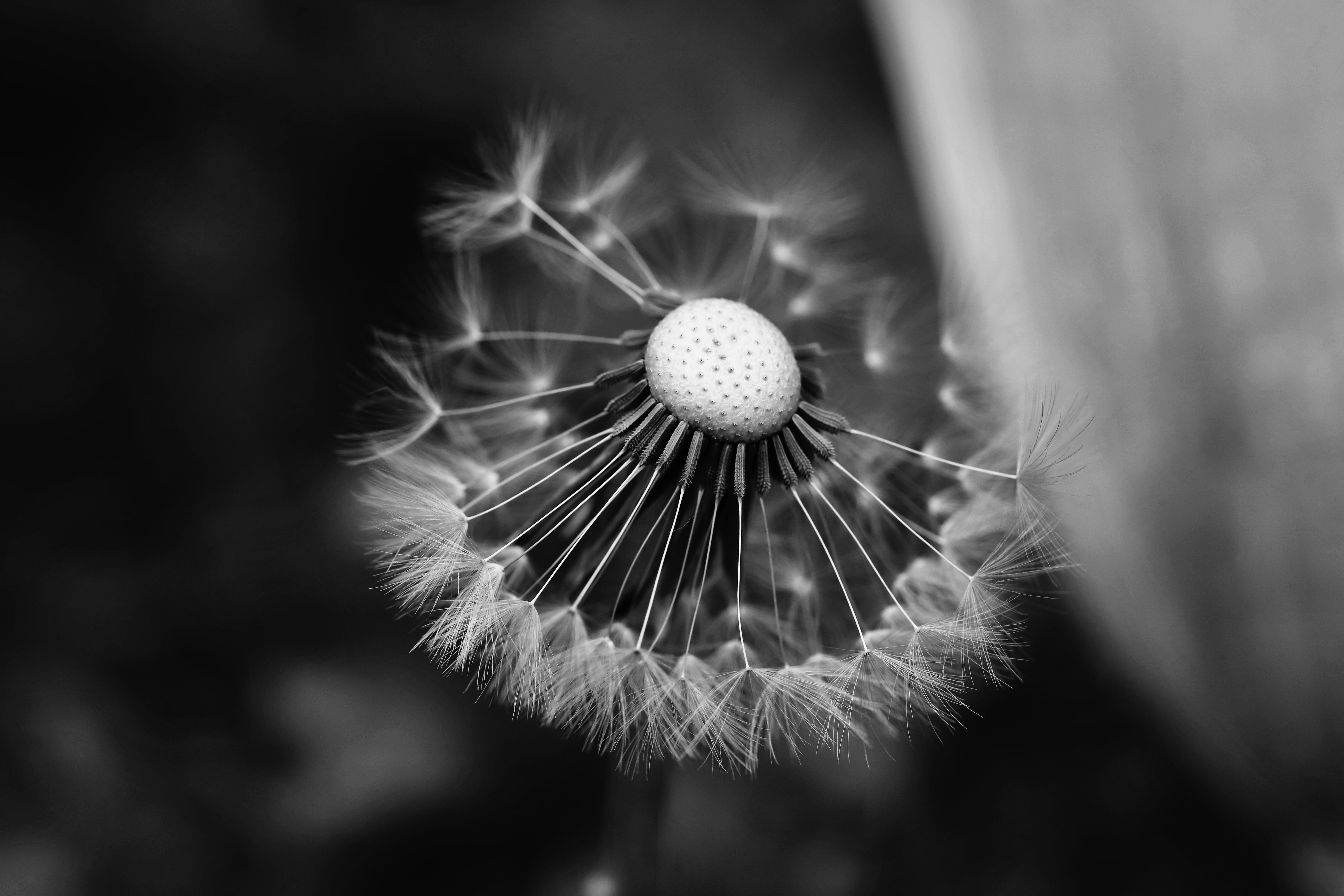 Enhancing Software Quality through Language Clarity and Maintainability