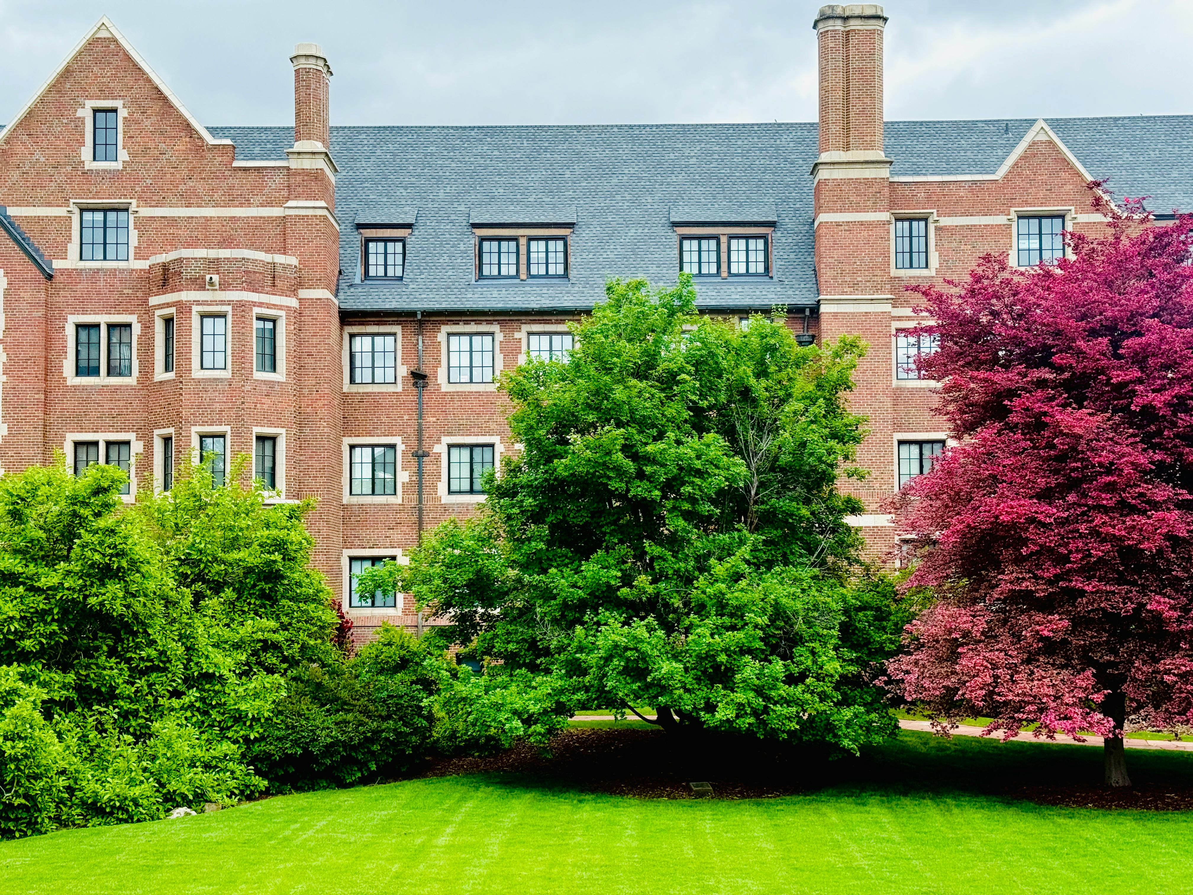 The 28 state colleges remove sociology as a general education course — Photo by Matthew Baxter on Pexels