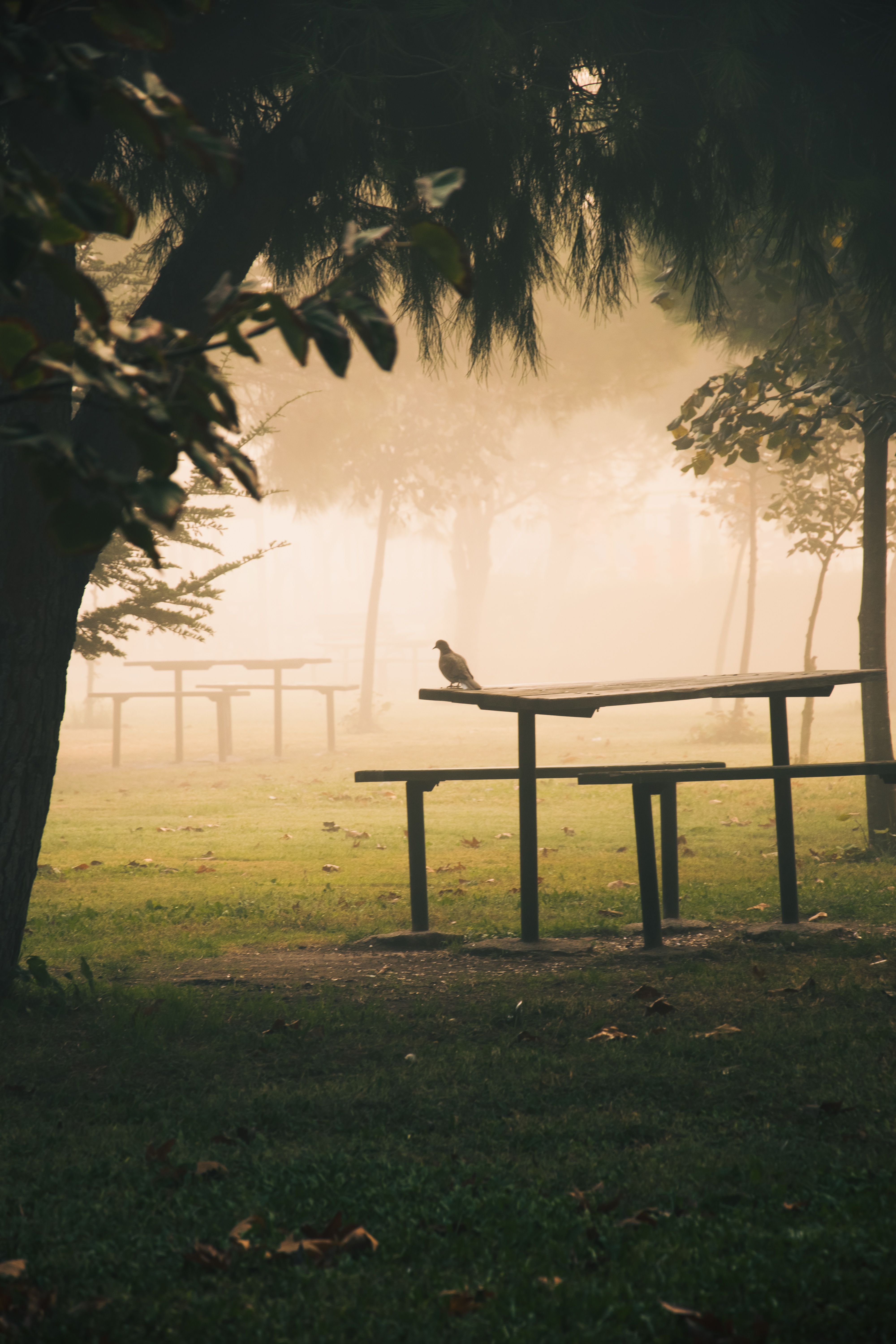 7 formas de hacer que una mesa de picnic luzca irresistible — mantén el contraste fácil de leer