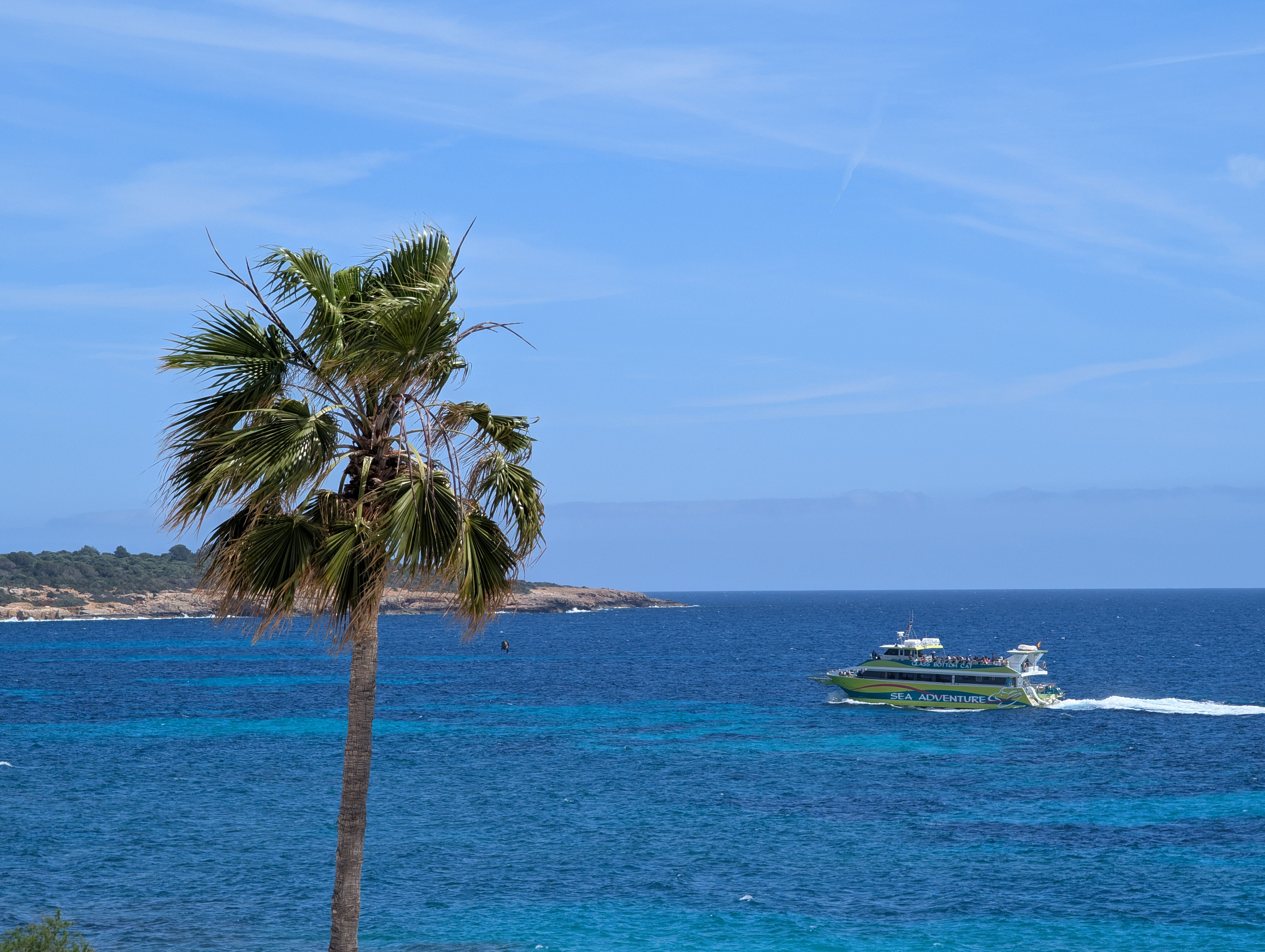 Scenic Palm Tree by Tropical Ocean with Ferry · Free Stock Photo