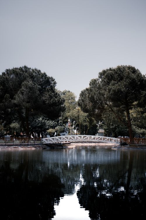 Free Serene view of a park bridge reflecting on a calm water surface. Stock Photo
