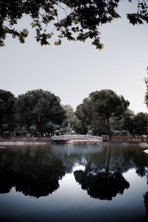 Free A tranquil park scene with a reflective lake and bridge surrounded by trees under a clear sky. Stock Photo