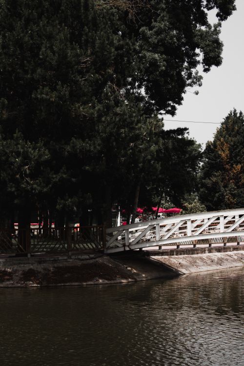 Free A peaceful scene of a white bridge over a tranquil river surrounded by lush trees. Stock Photo