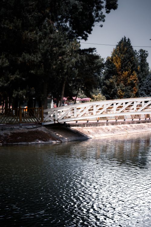 Free Aesthetic view of a classic white bridge spanning across a serene park pond with trees. Stock Photo
