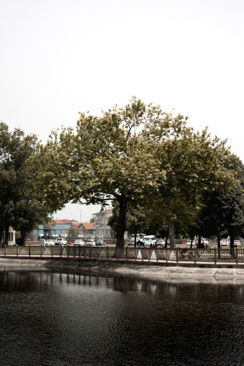Free Serene urban park with a pond, walkway, and lush trees in a tranquil setting. Stock Photo