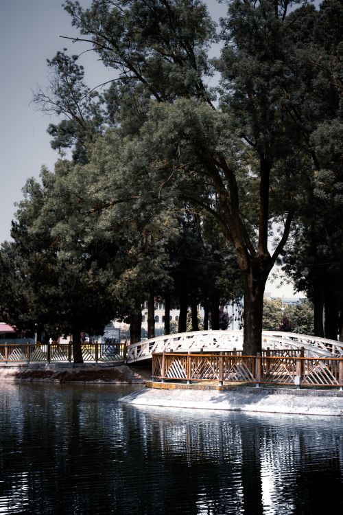 Free Tranquil park scene with a wooden bridge over a reflective pond surrounded by lush trees. Stock Photo