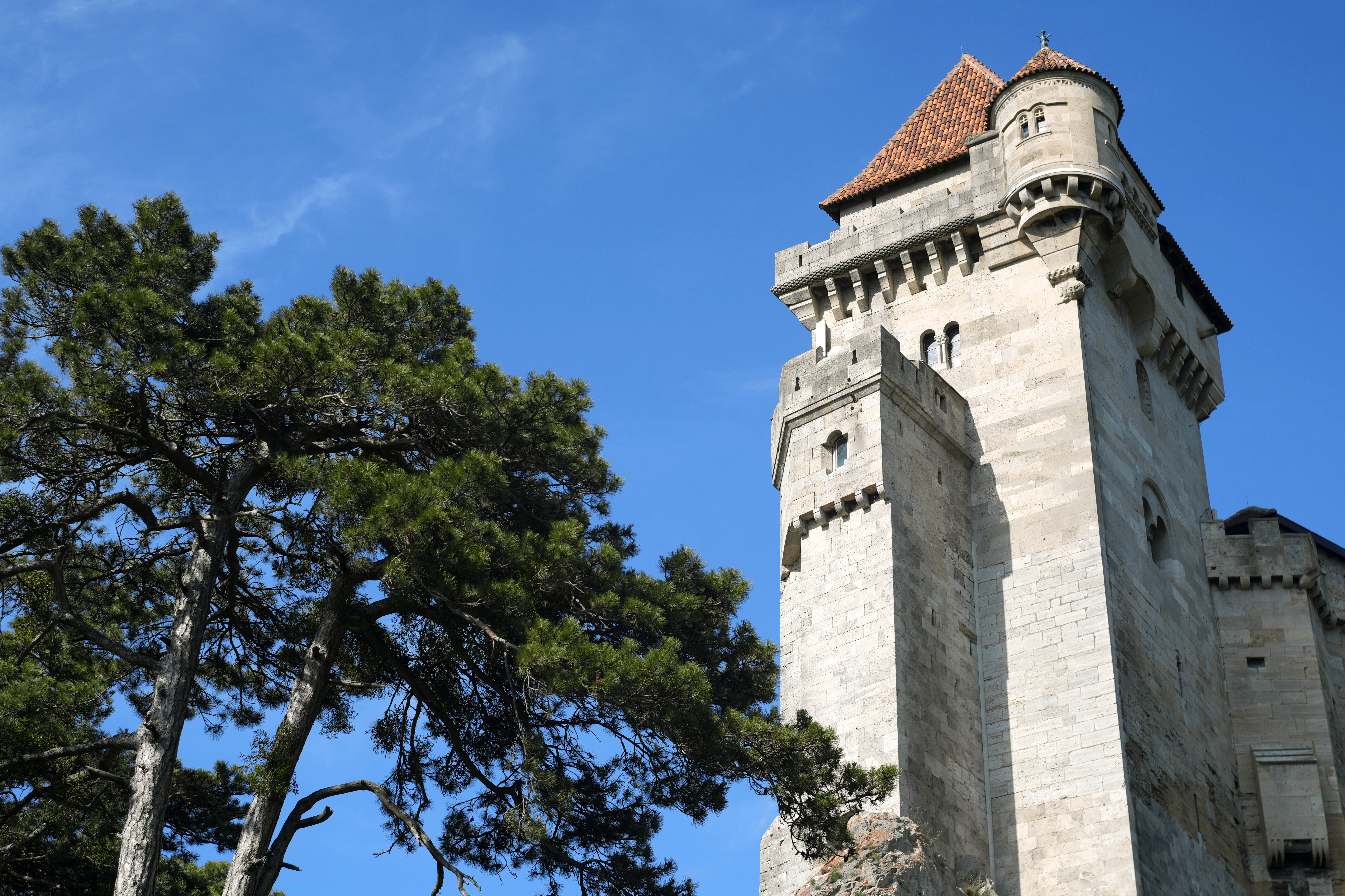 Castle tower in Vienna, Austria, surrounded by nature and a clear blue sky, showcasing medieval architecture.