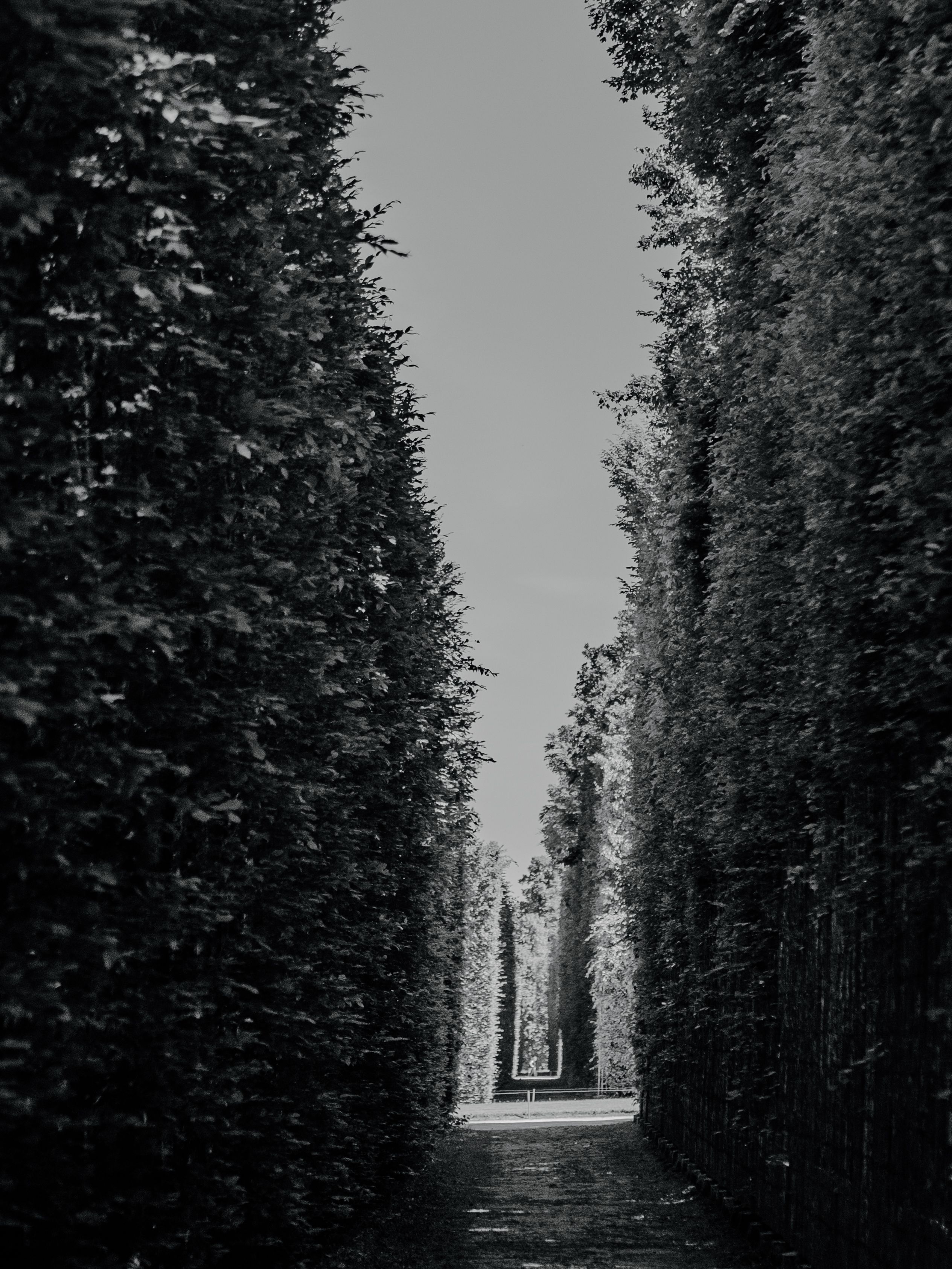 Black and White Pathway in French Garden · Free Stock Photo