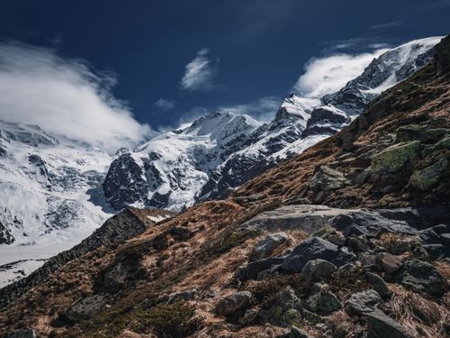 Free Spectacular view of the Swiss Alps in Pontresina, showcasing snowy peaks under a clear blue sky. Stock Photo