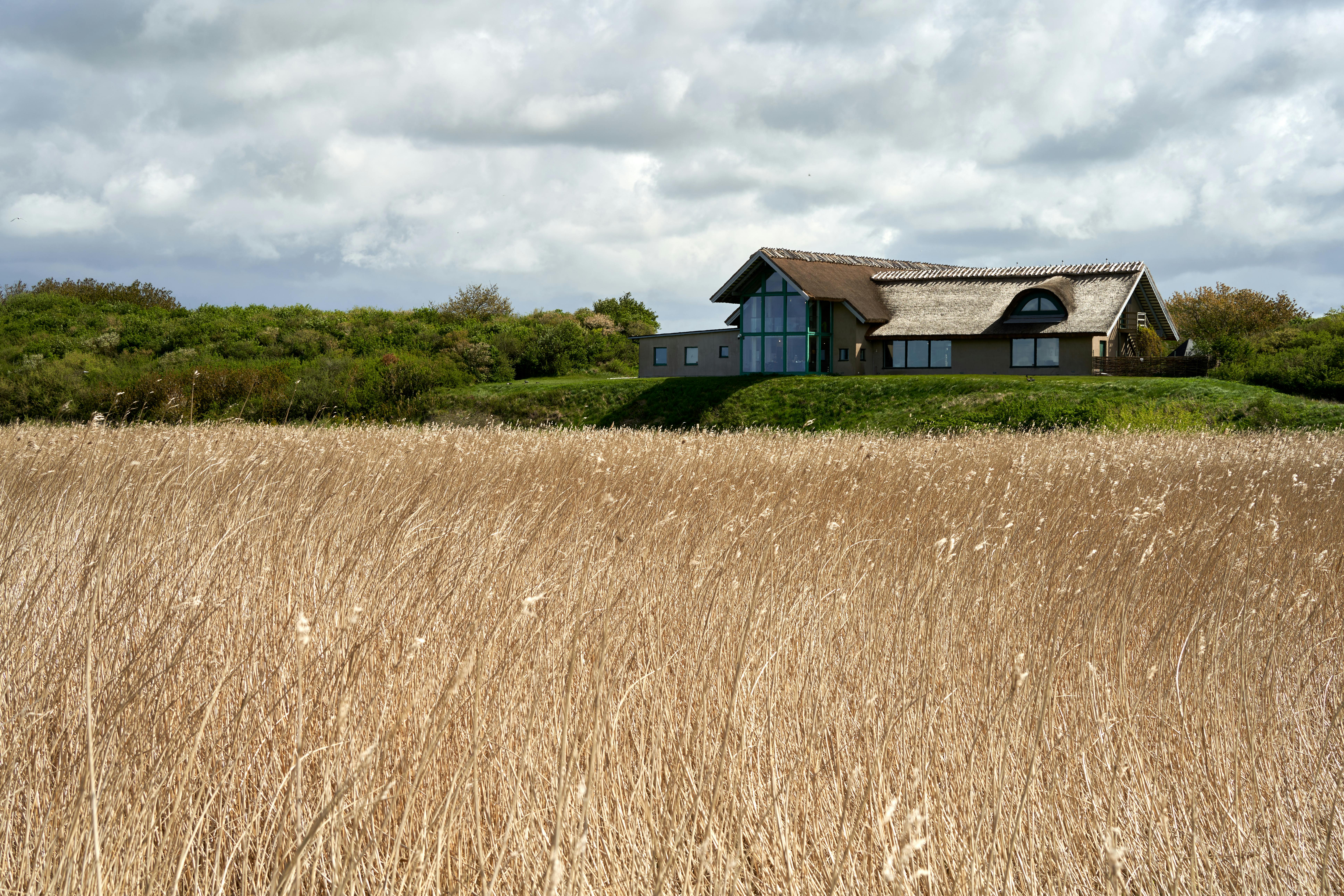 Eco-Friendly Vacation Experiences: Sustainable Travel Tips